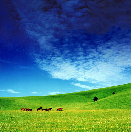 承德御道口盛夏美景如画