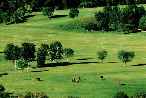 承德御道口盛夏美景如画