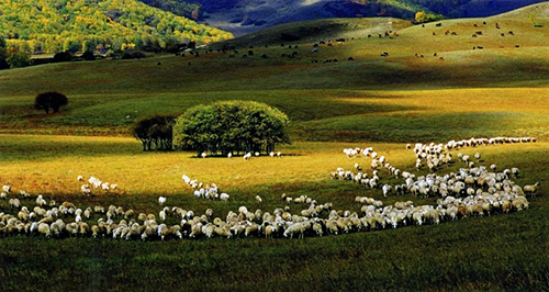 承德御道口盛夏美景如画