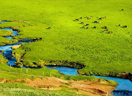 承德御道口盛夏美景如画