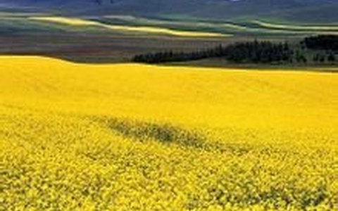 清代皇家猎苑--木兰围场