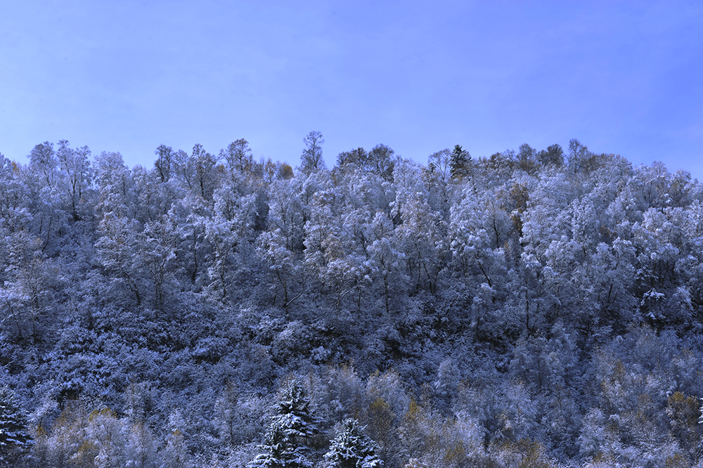 围场开启全域“赏冰乐雪” 冬季旅游好戏连台