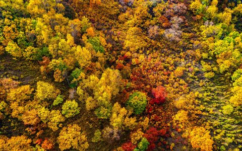 命中注定 缠绕羁绊读《我与地坛》有感