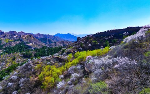 承德市推出全域赏花打卡点打造春季精品旅游线路