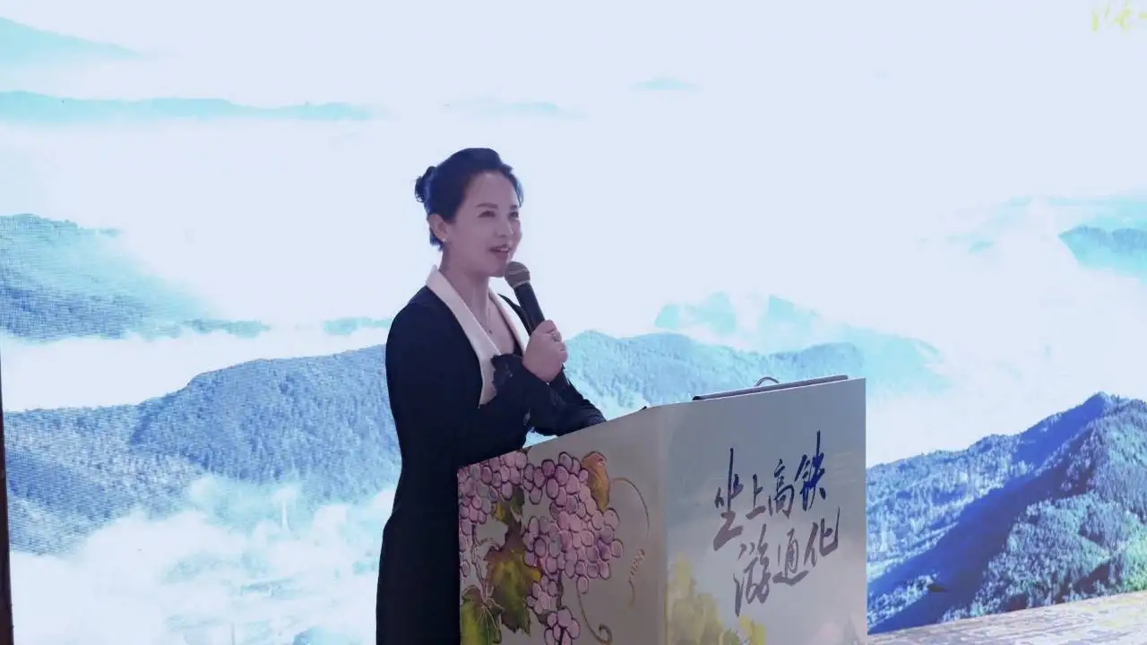 坐上高铁游通化：通达四海，一见倾'承'"通化文旅（承德）推介座谈会举行