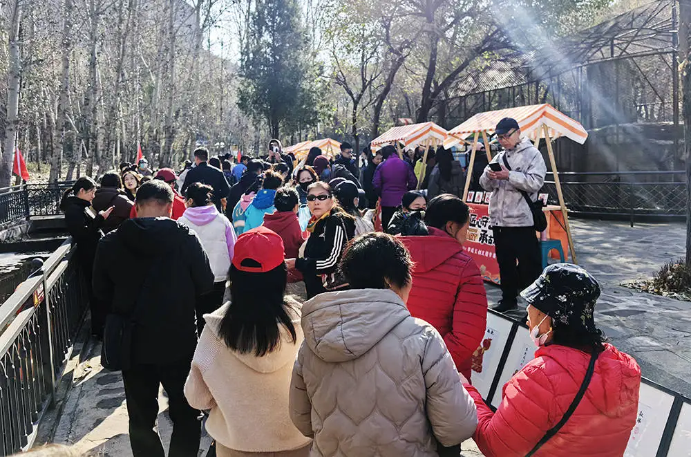 河北双滦：“秋登双塔 镜定永恒” 金秋摄影登高采风活动启幕