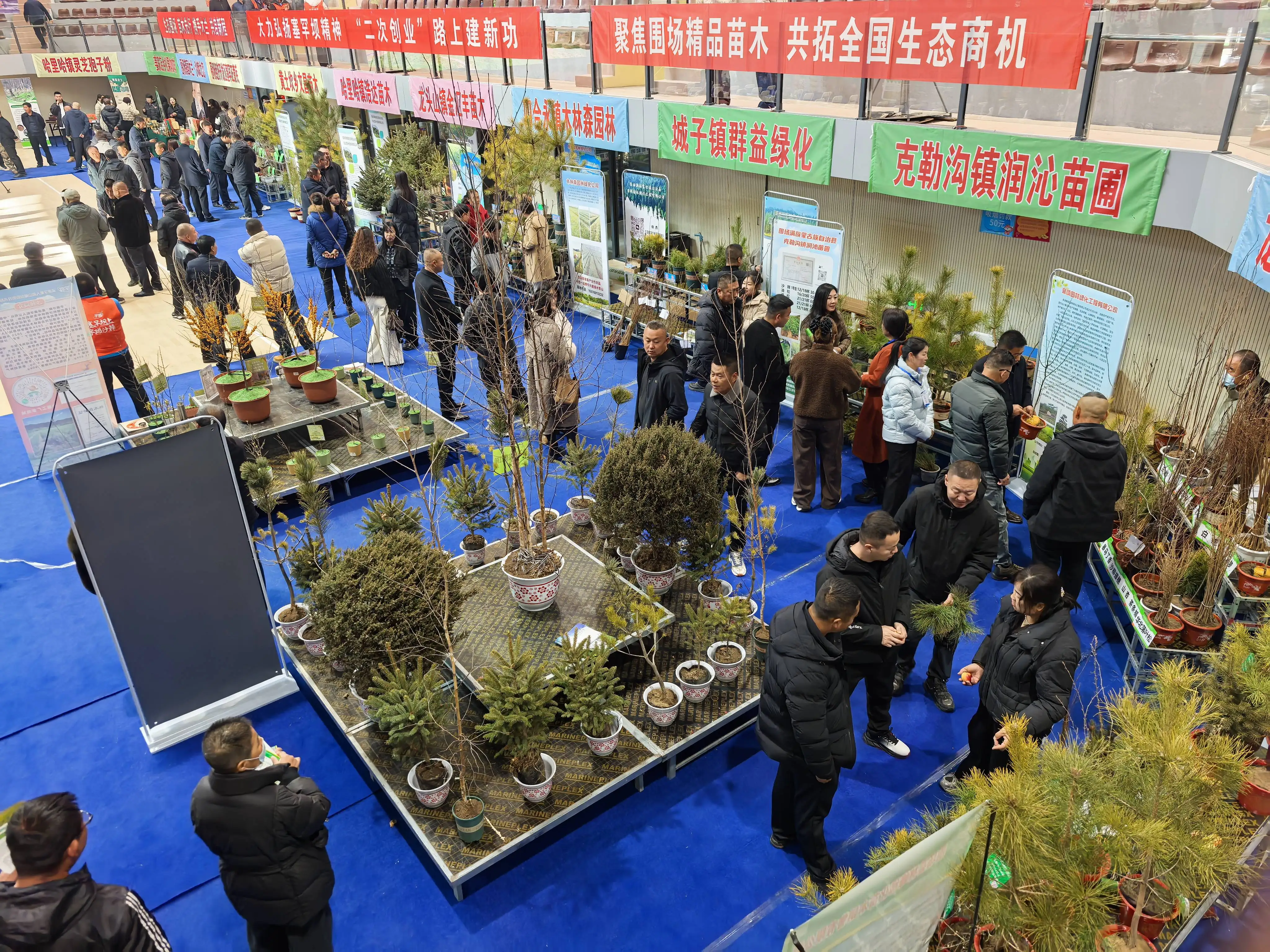 河北围场：2025生态苗木交易暨助力“三北”工程建设大会成功举办