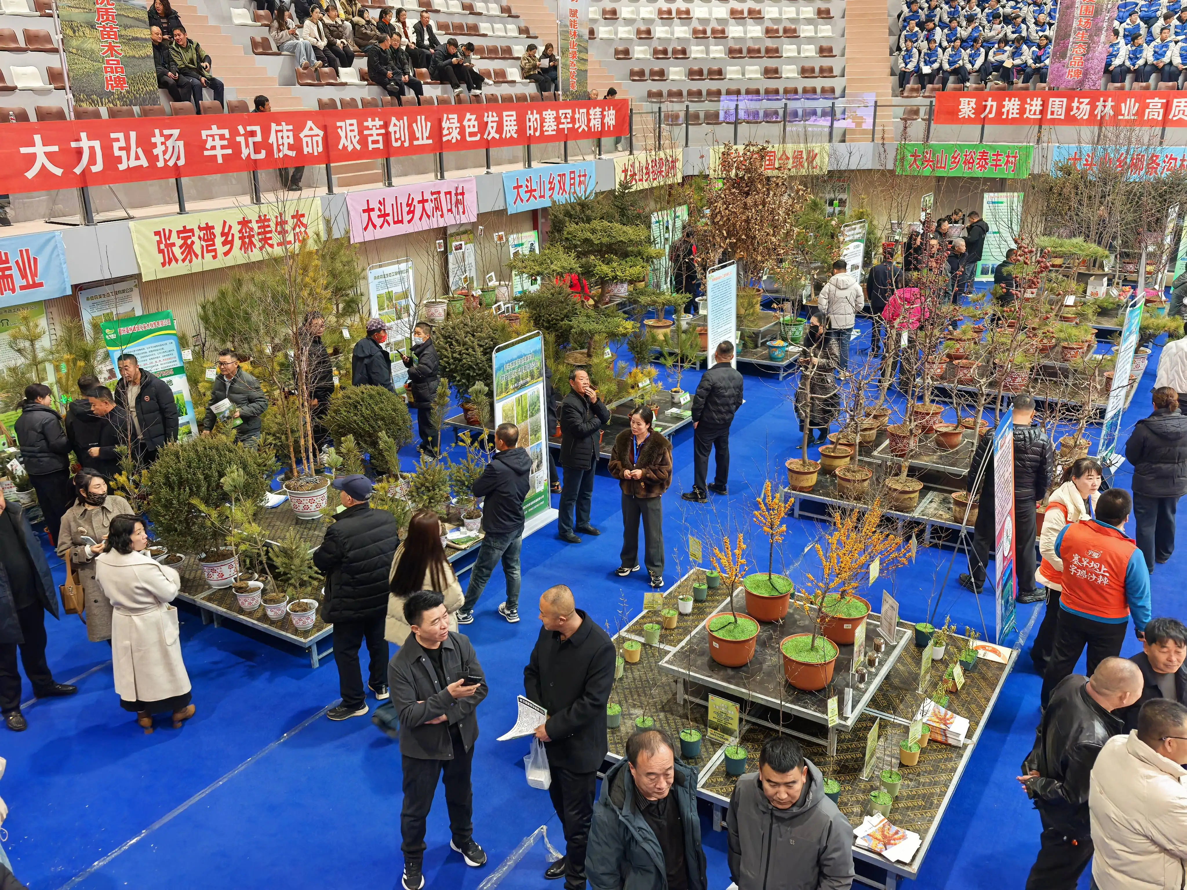 河北围场：2025生态苗木交易暨助力“三北”工程建设大会成功举办