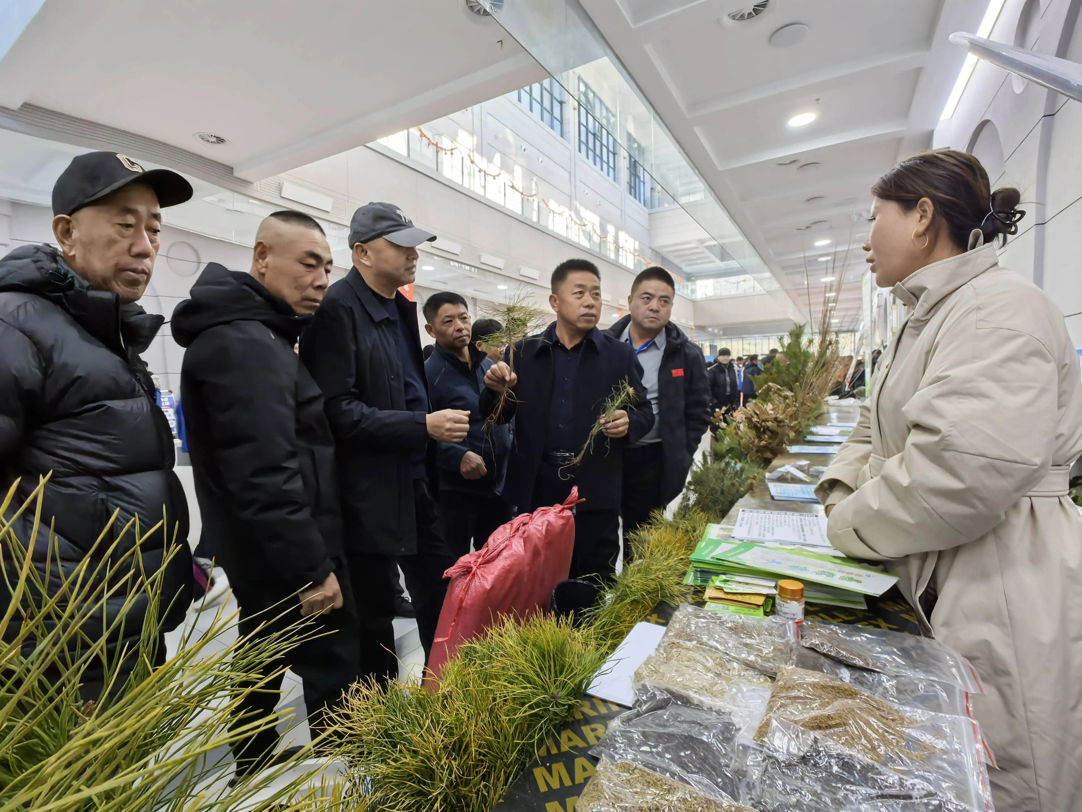 河北围场：2025生态苗木交易暨助力“三北”工程建设大会成功举办