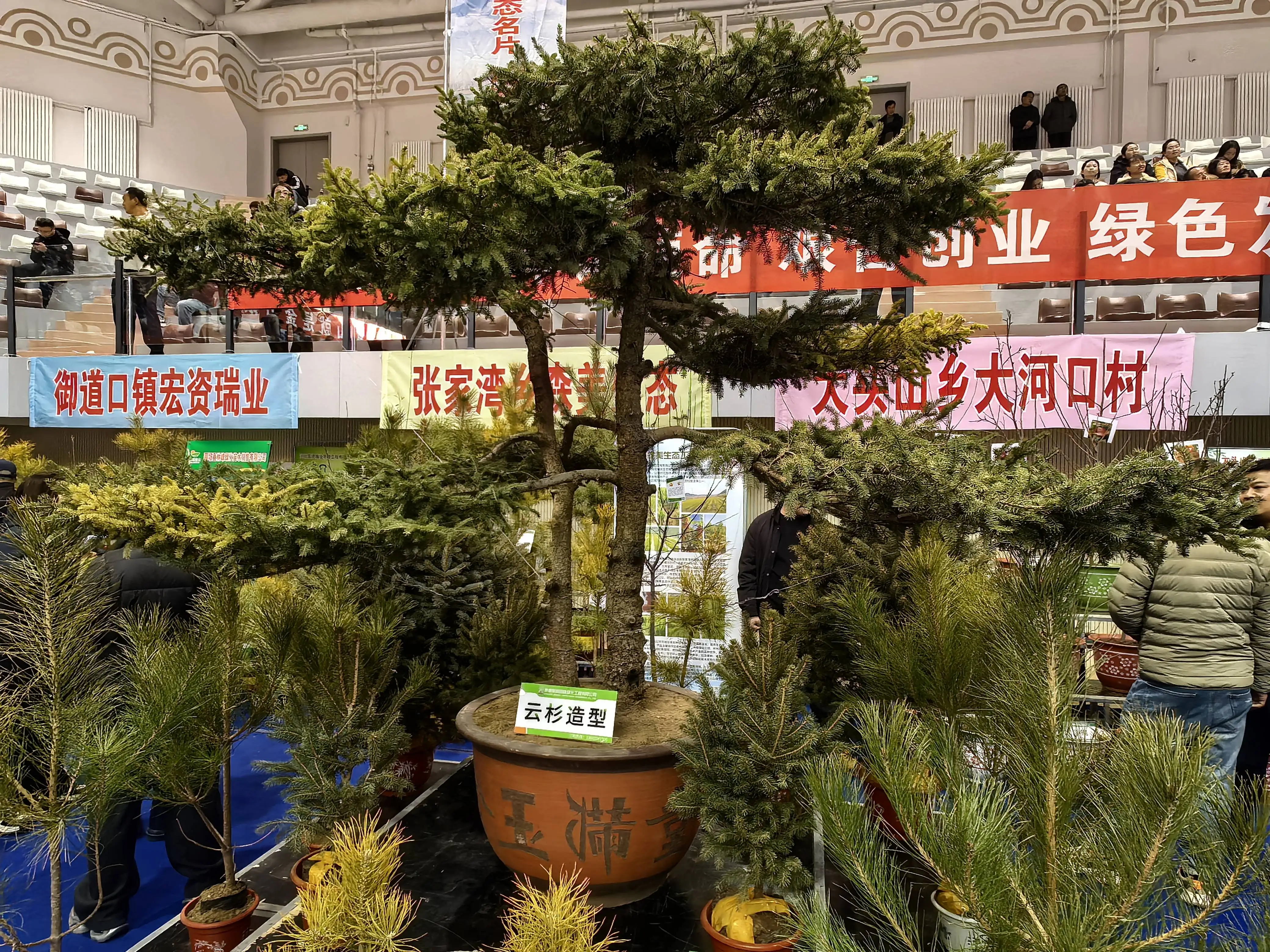 河北围场：2025生态苗木交易暨助力“三北”工程建设大会成功举办