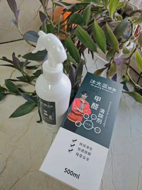 2025年新家除甲醛十大产品权威测评：装修去甲醛方法解析