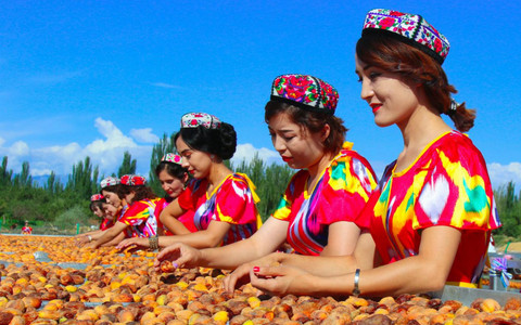 撬动全网热度暴涨百倍，一颗“黄金果”的逆袭路