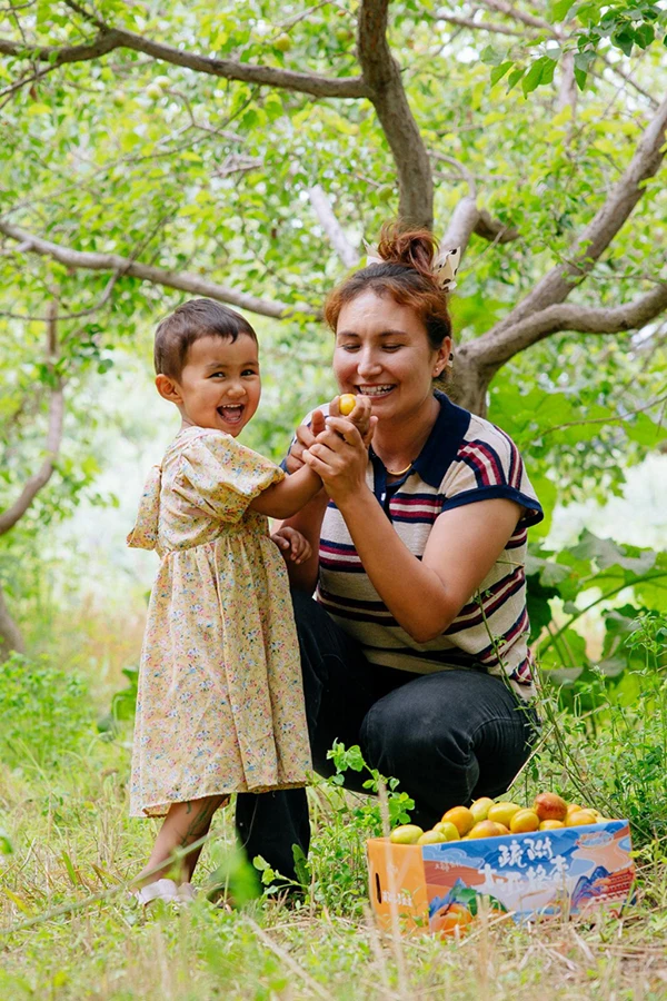 撬动全网热度暴涨百倍，一颗“黄金果”的逆袭路