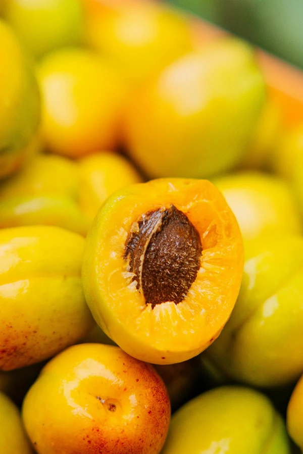 撬动全网热度暴涨百倍，一颗“黄金果”的逆袭路