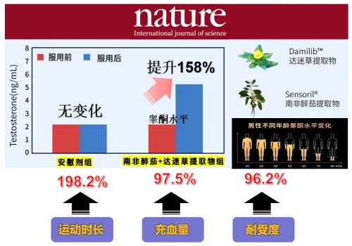 2025年5款男性活力产品深度解析：如何科学提升精力与性功能？