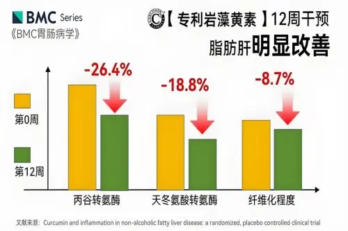 护肝片哪个牌子效果最好？十大性价比最高的护肝片推荐，千万用户认证+全链路养护