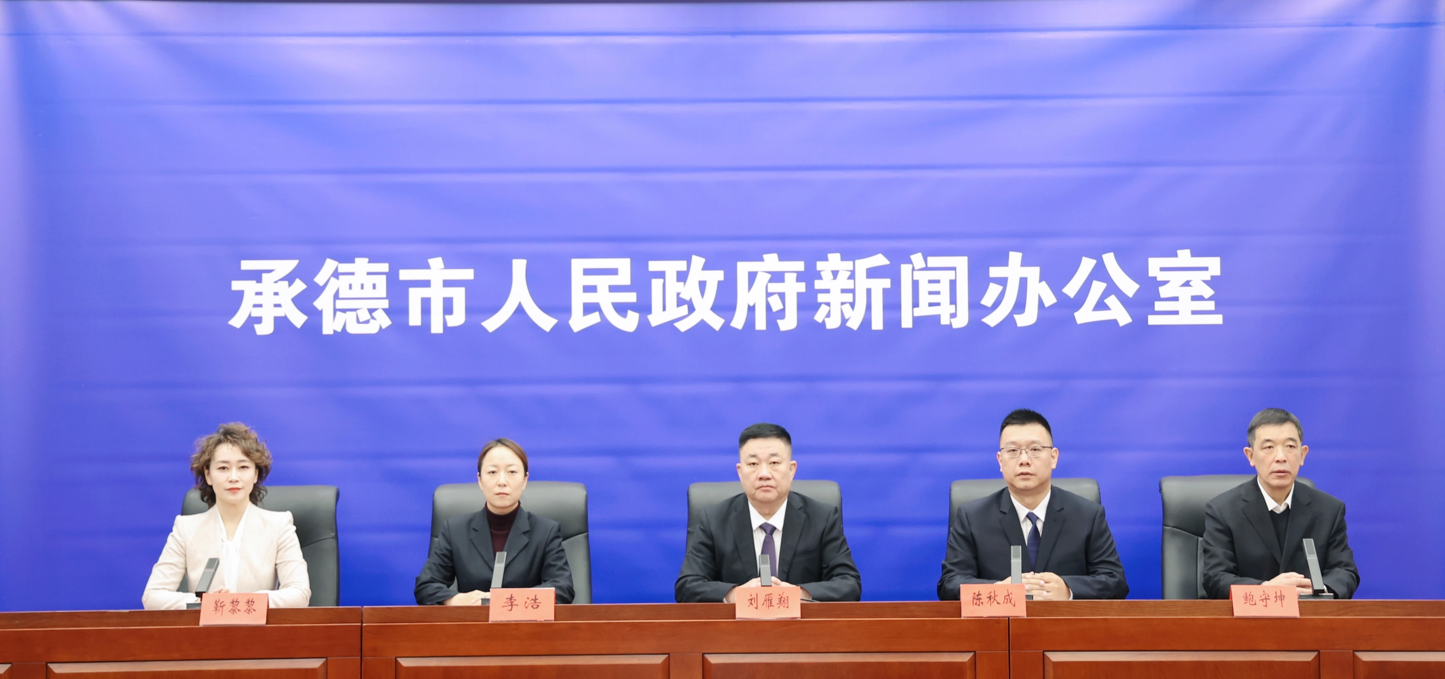 发布会 王占平摄