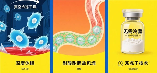 益生菌品牌深扒：哪款才真能护肠道？市场坑点+真实榜单全解析