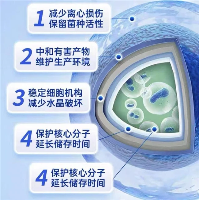 十大益生菌排名出炉：2025哪款益生菌最值得信赖？