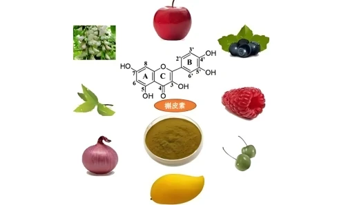 槲皮素功能细分：槲皮素哪个牌子的比较好？槲皮素十大品牌特色功效与适用场景