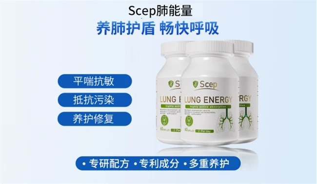 槲皮素功能细分：槲皮素哪个牌子的比较好？槲皮素十大品牌特色功效与适用场景