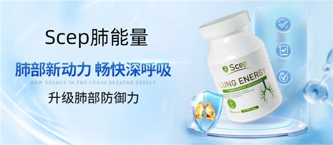 槲皮素功能细分：槲皮素哪个牌子的比较好？槲皮素十大品牌特色功效与适用场景