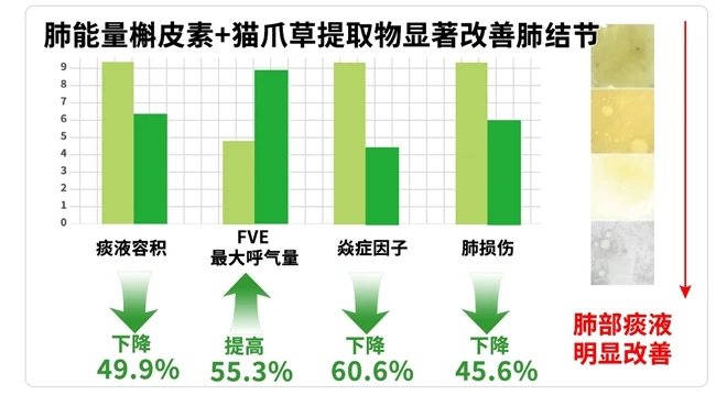 槲皮素哪个牌子好?槲皮素品牌前十名,改善磨玻璃结节权威榜