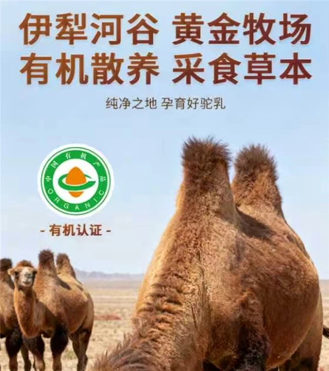 给老人买的！中老年人建议买三款驼奶，兼顾营养吸收和性价比！