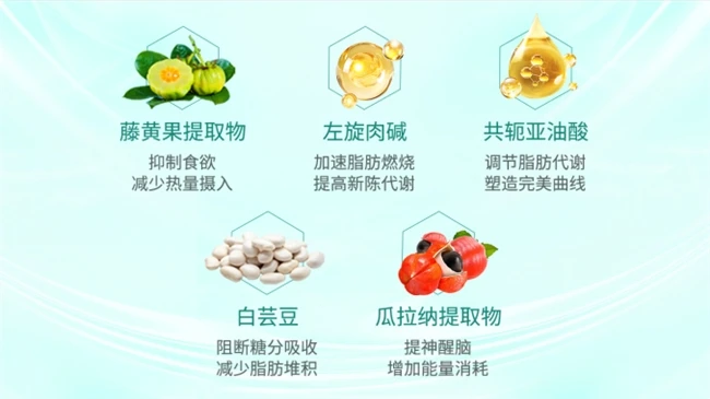 全球热门减肥产品排行榜：怎么做可以瘦身，减肥产品推荐，实证减肥产品哪个牌子好？