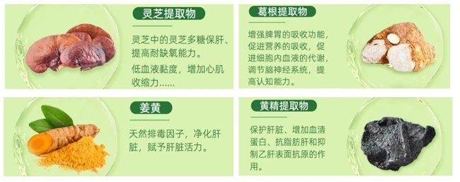 护肝片哪个好推荐？哪个牌子值得入手？护肝片品牌排行榜前十名