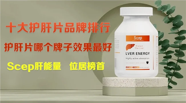 水飞蓟品牌排行,水飞蓟哪个牌子效果好,2026选择水飞蓟护肝片品牌用户推荐款