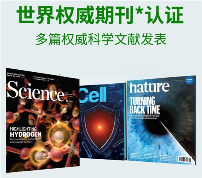 水飞蓟品牌排行,水飞蓟哪个牌子效果好,2026选择水飞蓟护肝片品牌用户推荐款