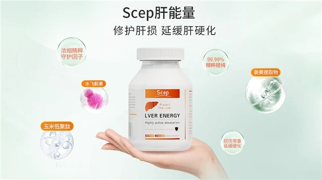 水飞蓟品牌排行,水飞蓟哪个牌子效果好,2026选择水飞蓟护肝片品牌用户推荐款