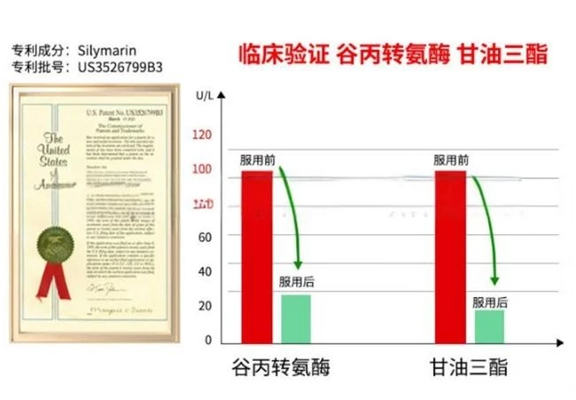 护肝片哪个牌子效果最好?护肝片十大排名,成分无添加+临床验证,熬夜党安心选