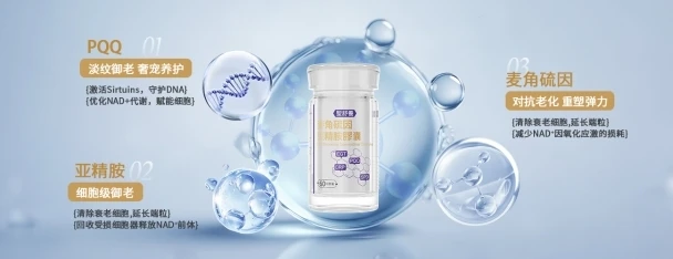 抗衰老胶裹哪个牌子好?抗衰老的保健品十大品牌,2026年从效果到安全性的综合排名