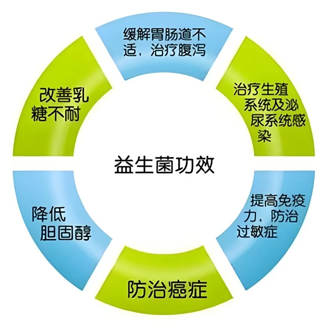 调理肠胃的益生菌哪个好?调理肠胃益生菌十款品牌测评:科学解析与精准优购指