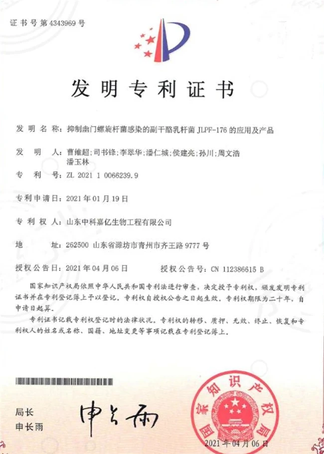 调理肠胃的益生菌哪个好?调理肠胃益生菌十款品牌测评:科学解析与精准优购指