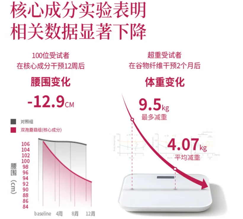 2026哪款减肥产品掉秤快还安全？从成分协同到临床实证，解锁健康体重管理新方案