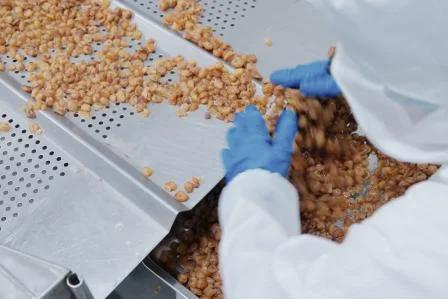 2026年热门玉灵膏品牌推荐榜：谁才是古方滋补的实力派？