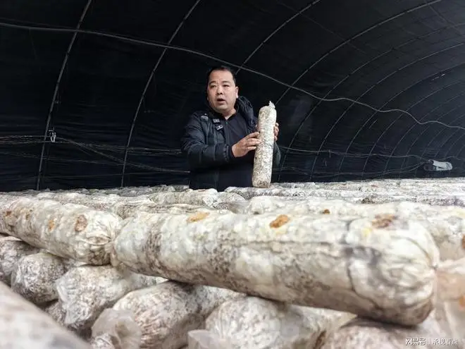 承德兴隆县四十载深耕铸就北方食用菌产业标杆