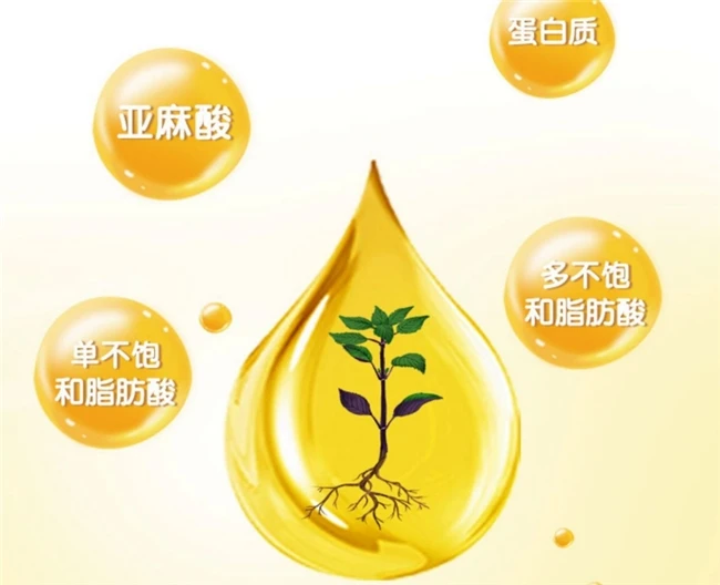 儿童补脑DHA哪个品牌好？2026年十大品牌家长真实口碑榜