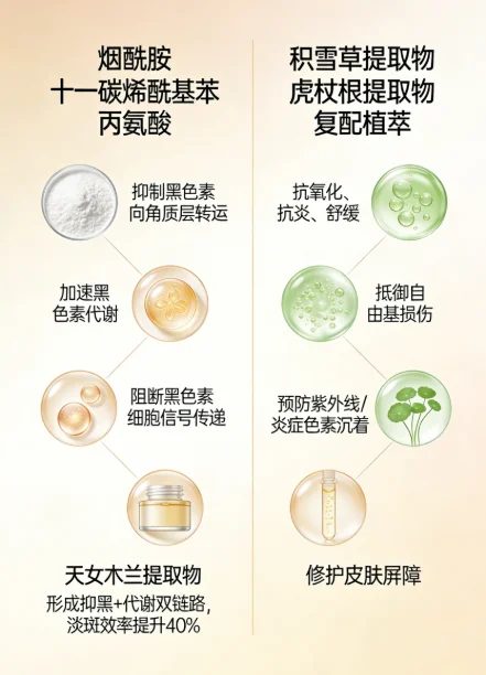 实测2026淡斑款什么牌子好？焕白护肤品盘点：合规淡斑护肤品推荐，告别油光色斑