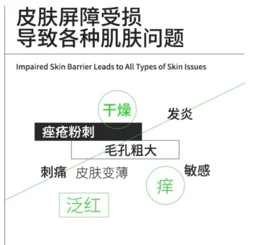 FEMWORK倍润面霜全方位解析:成分、功效、适用肤质与使用指南