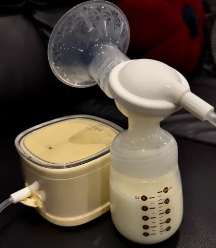 2026新母婴家庭必备好物红榜评测!安全实用版·避坑指南