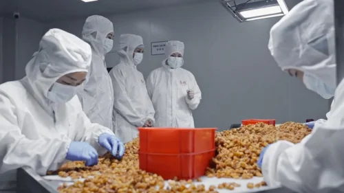 2026年玉灵膏品牌深度评测榜：谁才是真正值得关注的实力派