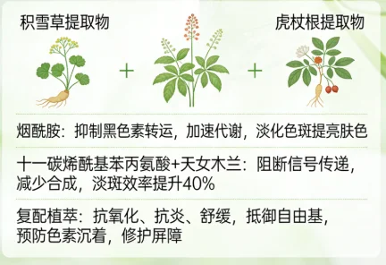 屏障肌美白怕刺激怎么办？2026 实测后西施美白祛斑霜国妆特证 + 专利双验证，安全淡斑不烂脸