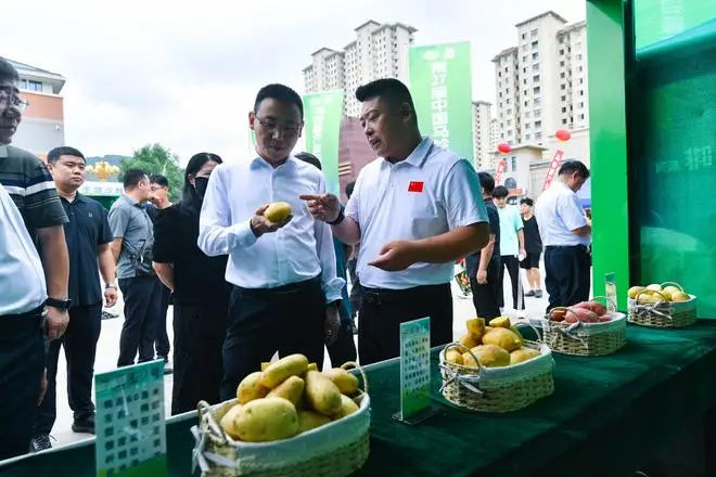 第27届中国马铃薯大会在围场满族蒙古族自治县开幕